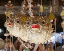 A fine example of human monstruosity by Gordana Zdjelar 